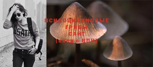 прущая мука Карпинск