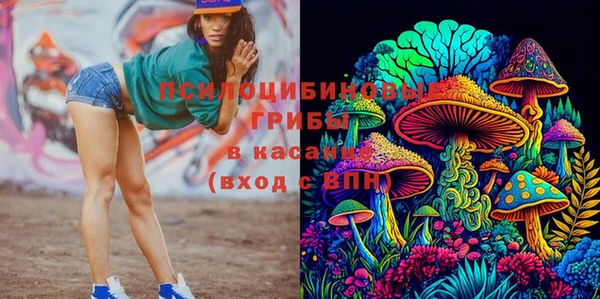 прущая мука Карпинск