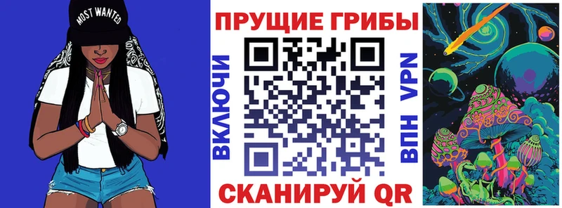 kraken tor  Чулым  Галлюциногенные грибы мицелий 